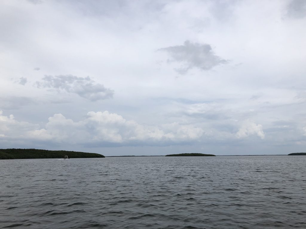 Ozello Airboat Ride