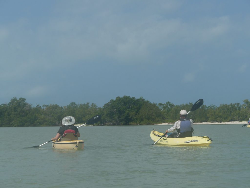kayaking the everglades