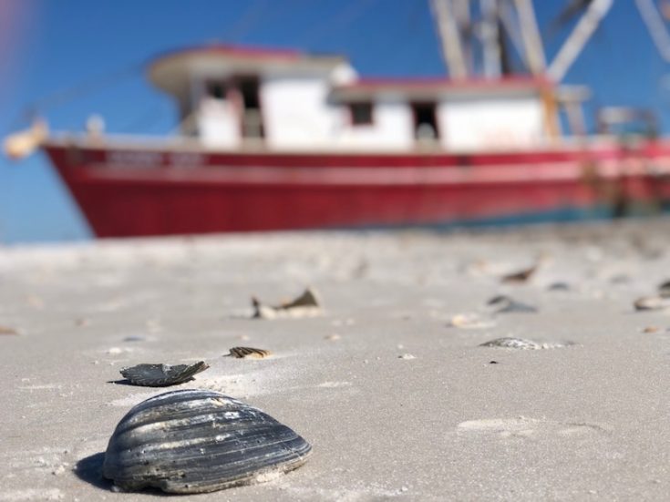 shipwreck of the donna kay on cape san blas near port st joe florida