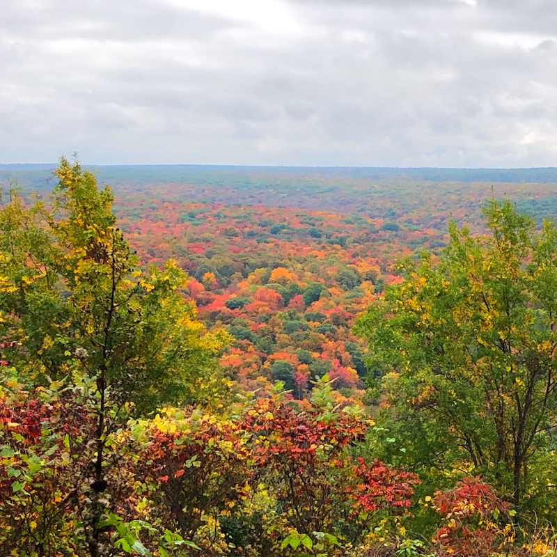 scenic overlook at parker dam state park