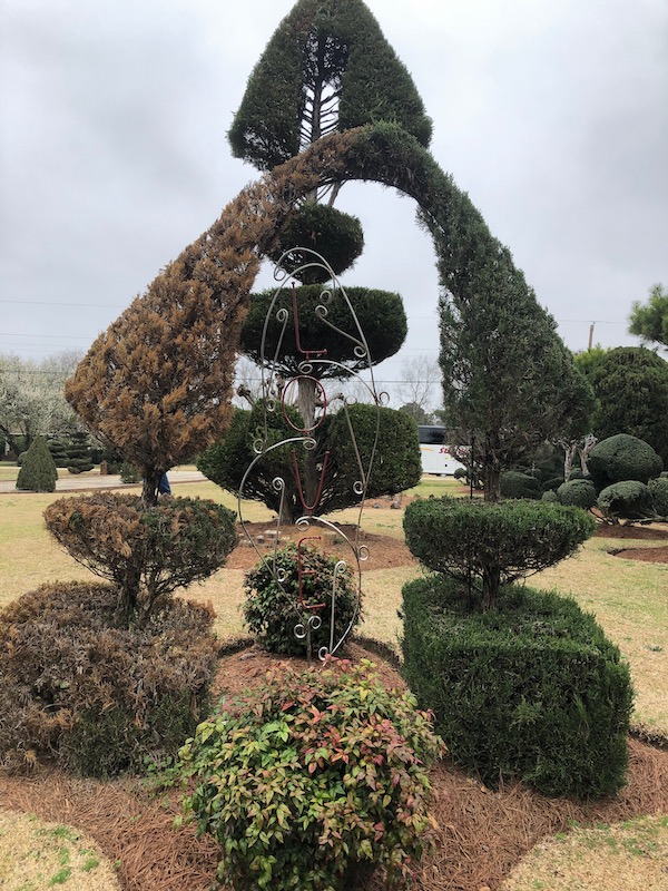 Pearl Fryar’s Topiary Garden