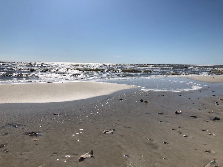 Beach at port st. joe.