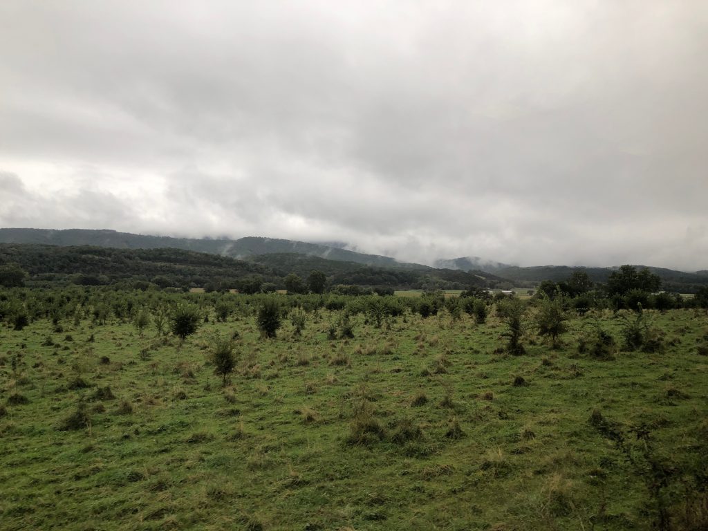 All Aboard the Potomac Eagle Scenic Train