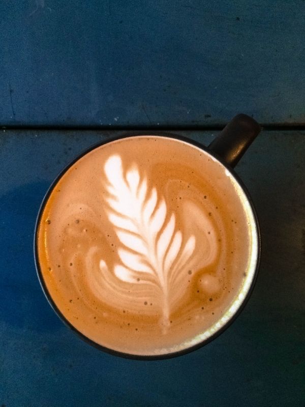 latte with leaf design in the foam