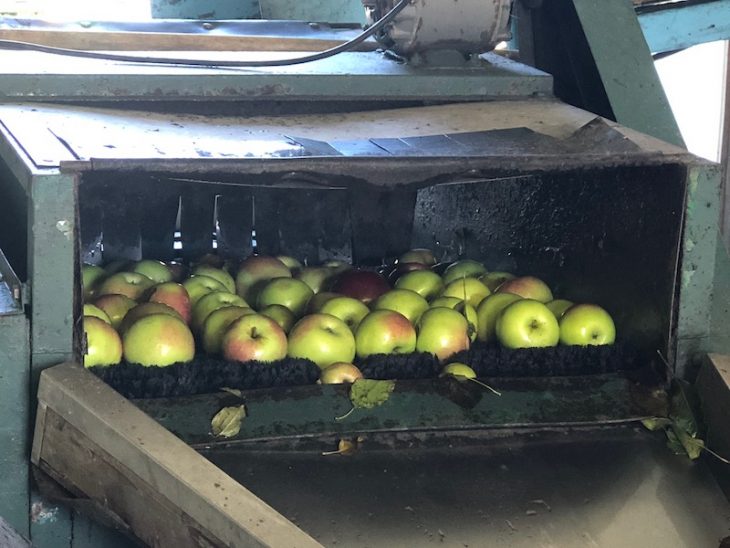 antique apple cider press at pumpkinville in western ny