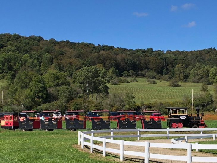 so much family fun at pumpkinville in western ny