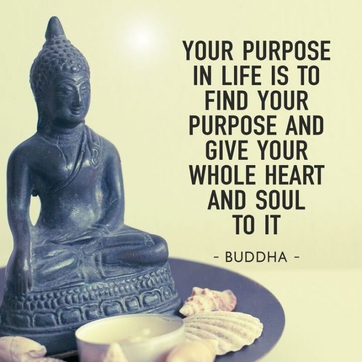 Purpose in life