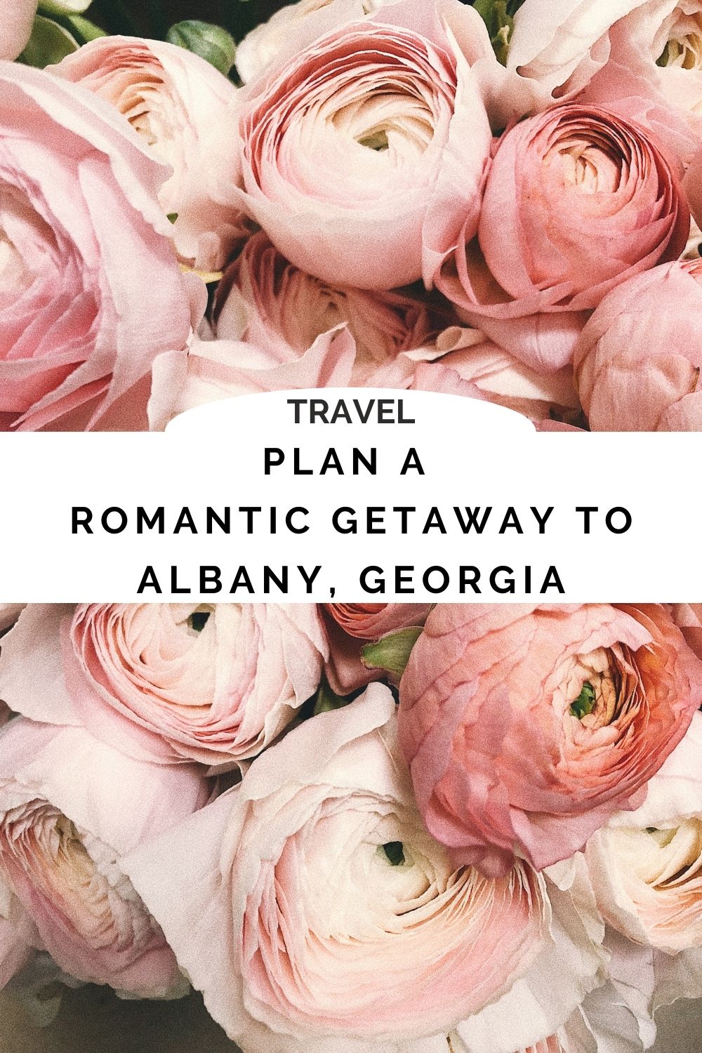 ROMANTIC GETAWAY TO ALBANY GEORGIA