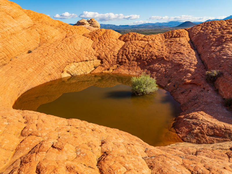 Red Cliffs Desert Reserve