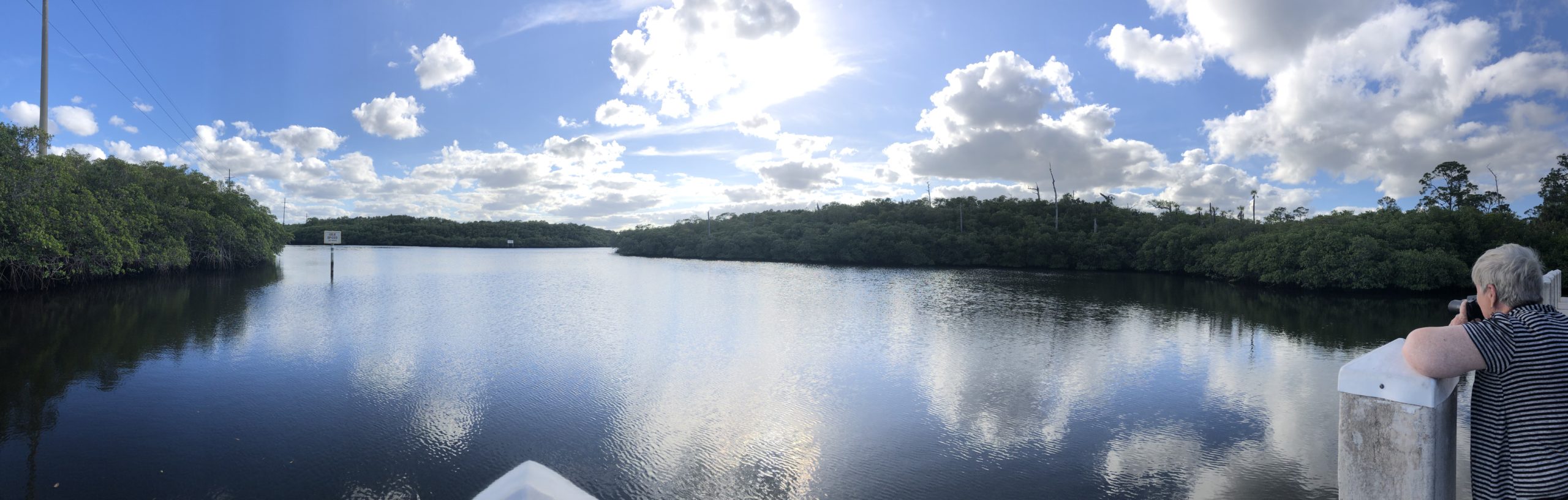 Photo of a River at Jonathan Dickinson State Park.