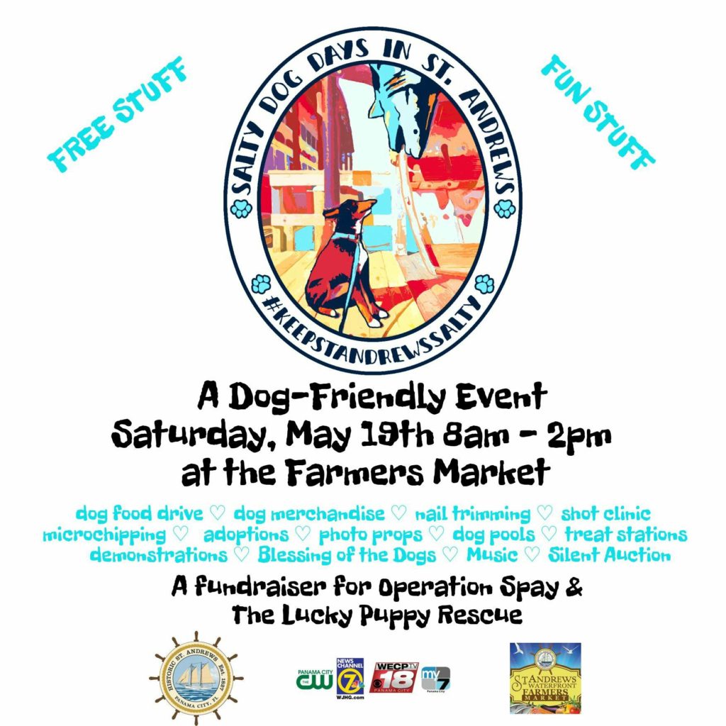 Salty Dog Days in St Andrews flyer