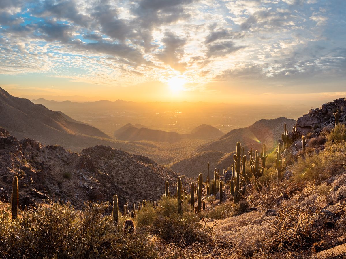5 Fantastic Arizona Spring Vacation Destinations For 2024 - Just Short ...
