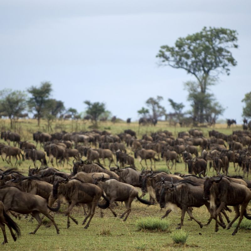 Serengeti National Park