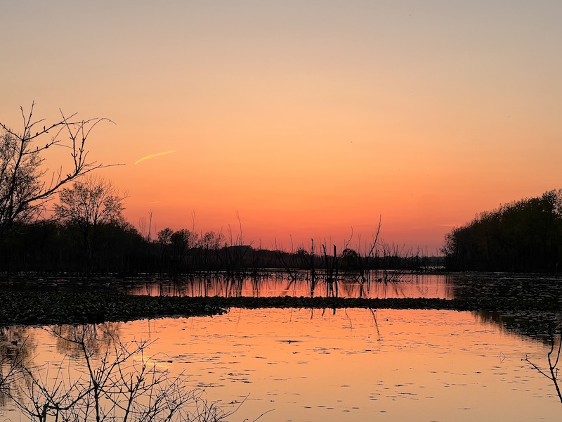 Sheldon Marsh Nature Perserve