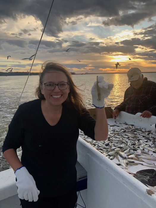 shrimping onslow county nc