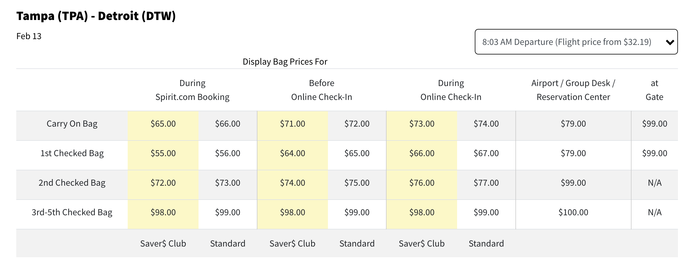 Spirit Luggage Fees Tampa to DTW