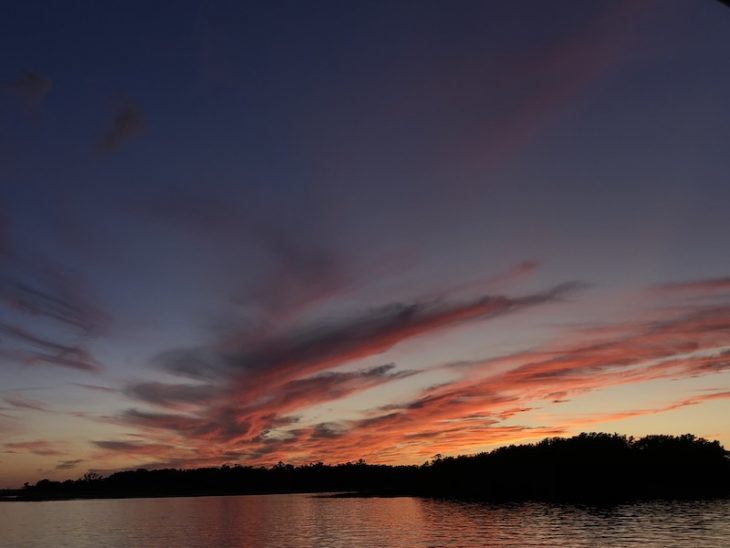 sunset with lady swan