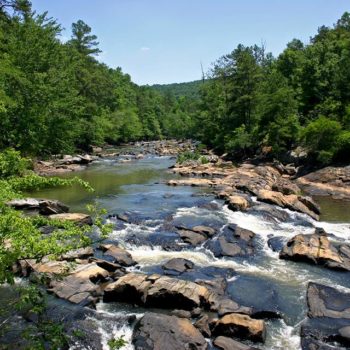 Sweetwater-Creek-State-Park-2-1