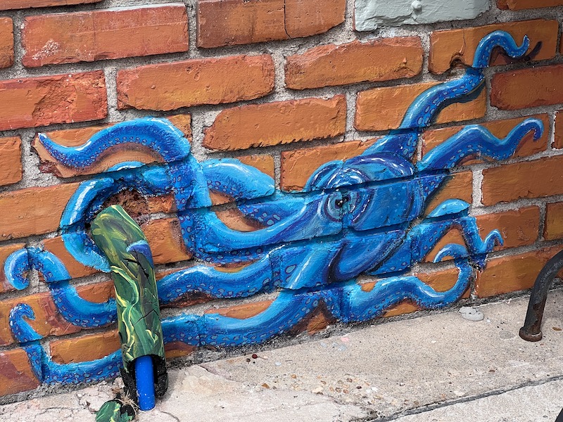 TIny Octupus Mural St Andrews Fl