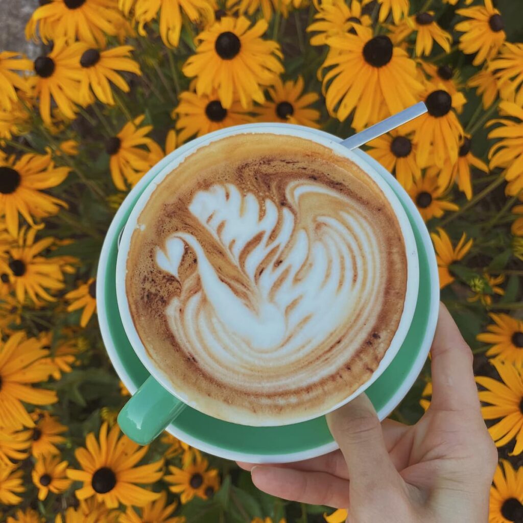 The Girl & The Raven latte with latte art on top.