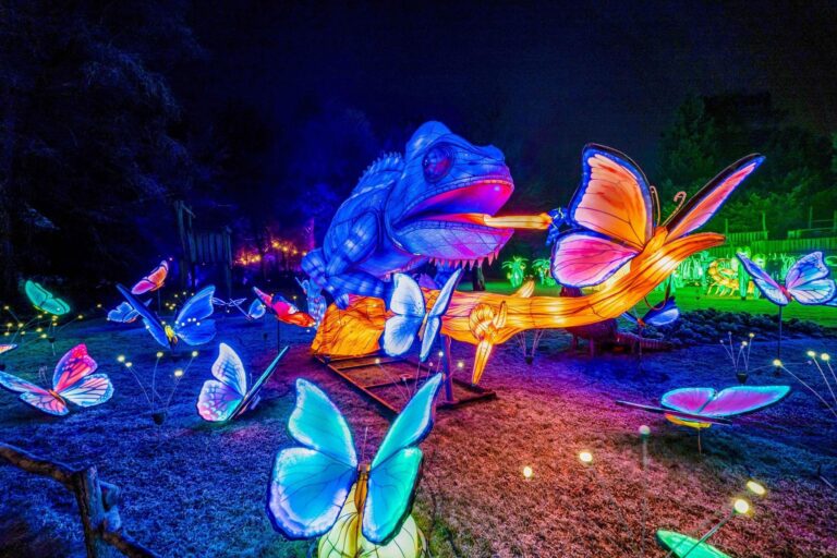 Grand Rapids Lantern Festival Returns To John Ball Zoo