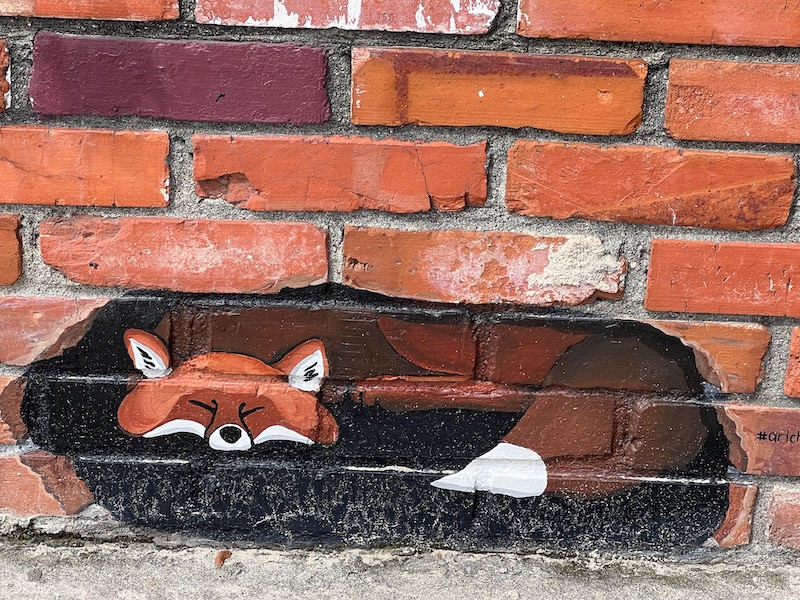 Tiny Fox Mural St Andrews FL