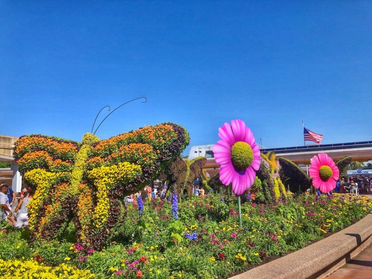 Topiary Disney Flowers Epcot Butterfly