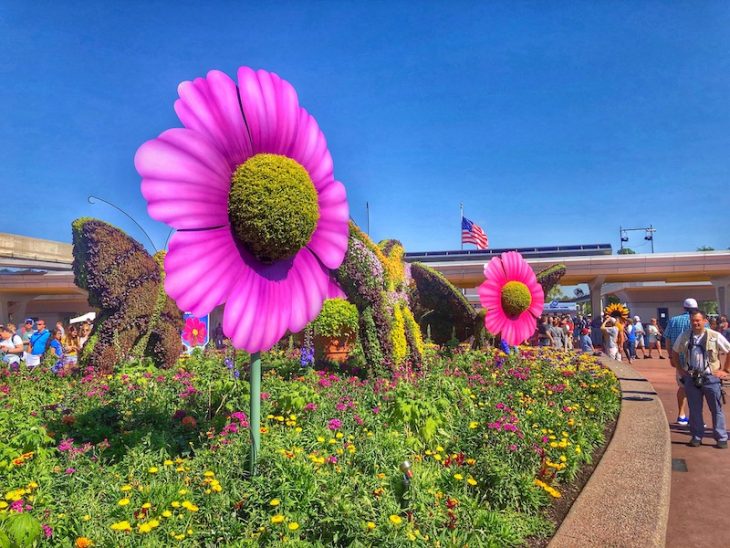 Topiary Disney Flowers Epcot Pink Flowers