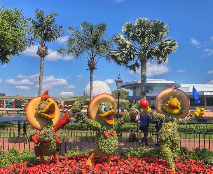 Topiary Disney Flowers Epcot Three Cabeleros