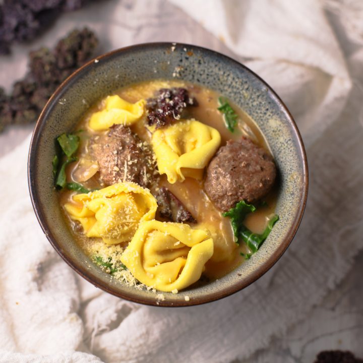 Turkey meatball soup recipe 1