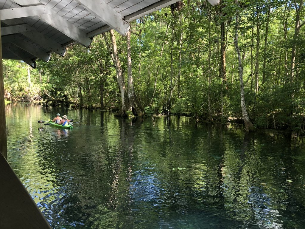 kayak alexander springs