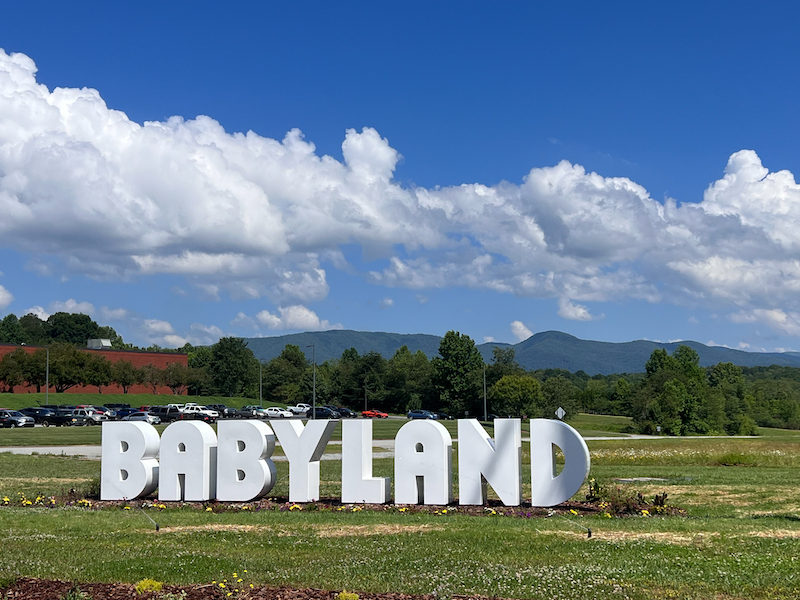 babyland general hospital