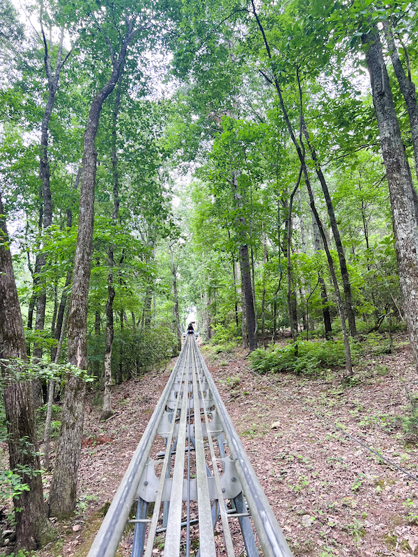 Georgia Mountain Coaster Going Up