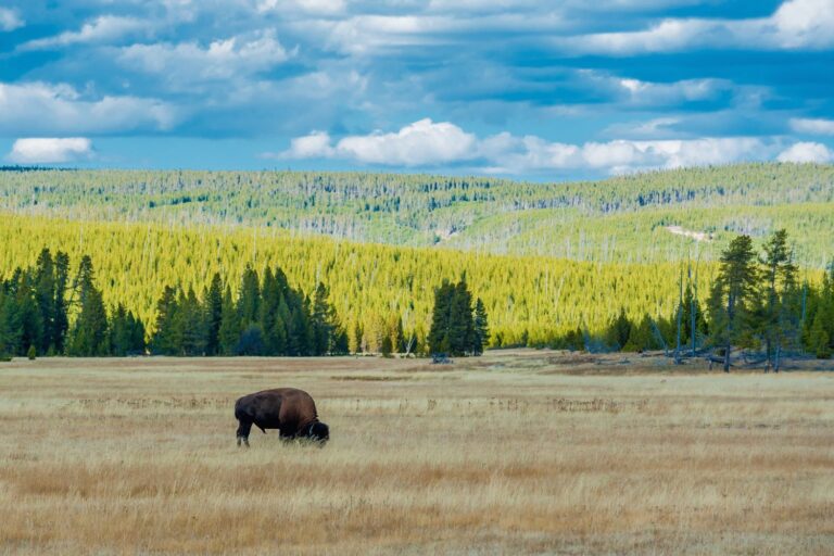 Nature Lover’s Guide to Memorial Day Weekend: National Parks and Scenic Trails