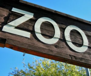 7 Midwest Zoo Events For A Perfect Date Night