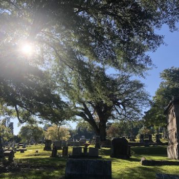 Vicksburg Cemetery 1