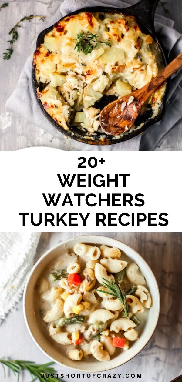 Weight Watchers Turkey Recipes - Just Short of Crazy