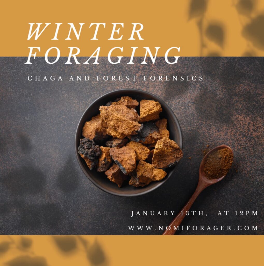 WinterForaging