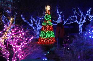 12 Ways To Celebrate the Holidays in Northern Virginia