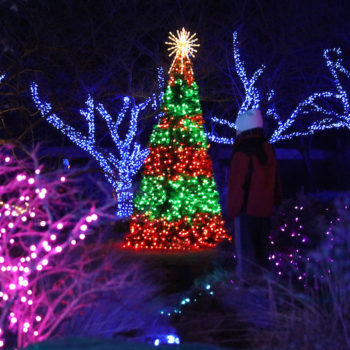 WinterWalkofLights-FairfaxCounty__CREDIT NOVA Parks