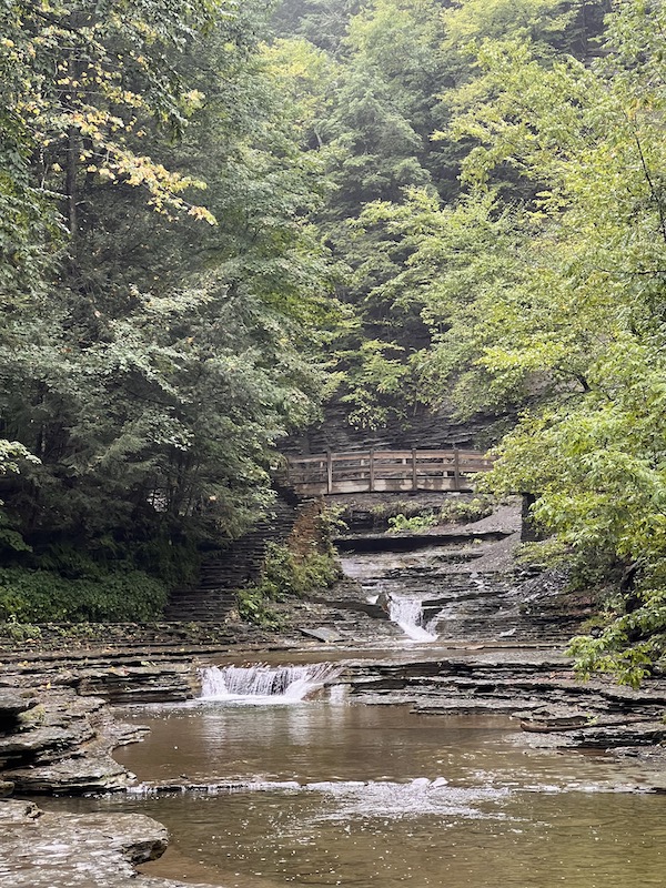 Wooden bridge at Stony Brook State Park