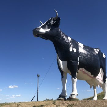 Worlds Largest Cow New Salem ND