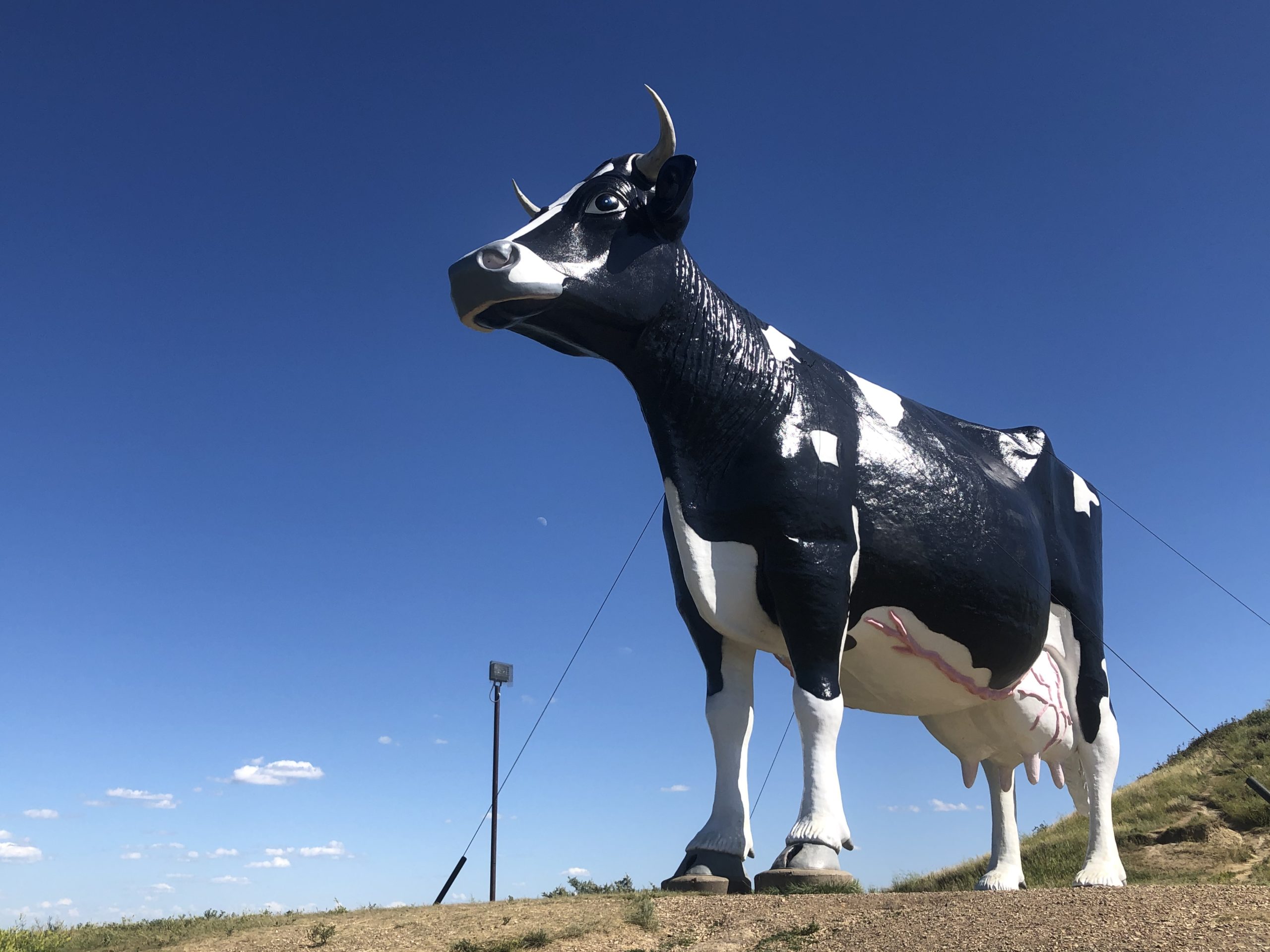 Worlds Largest Cow New Salem ND