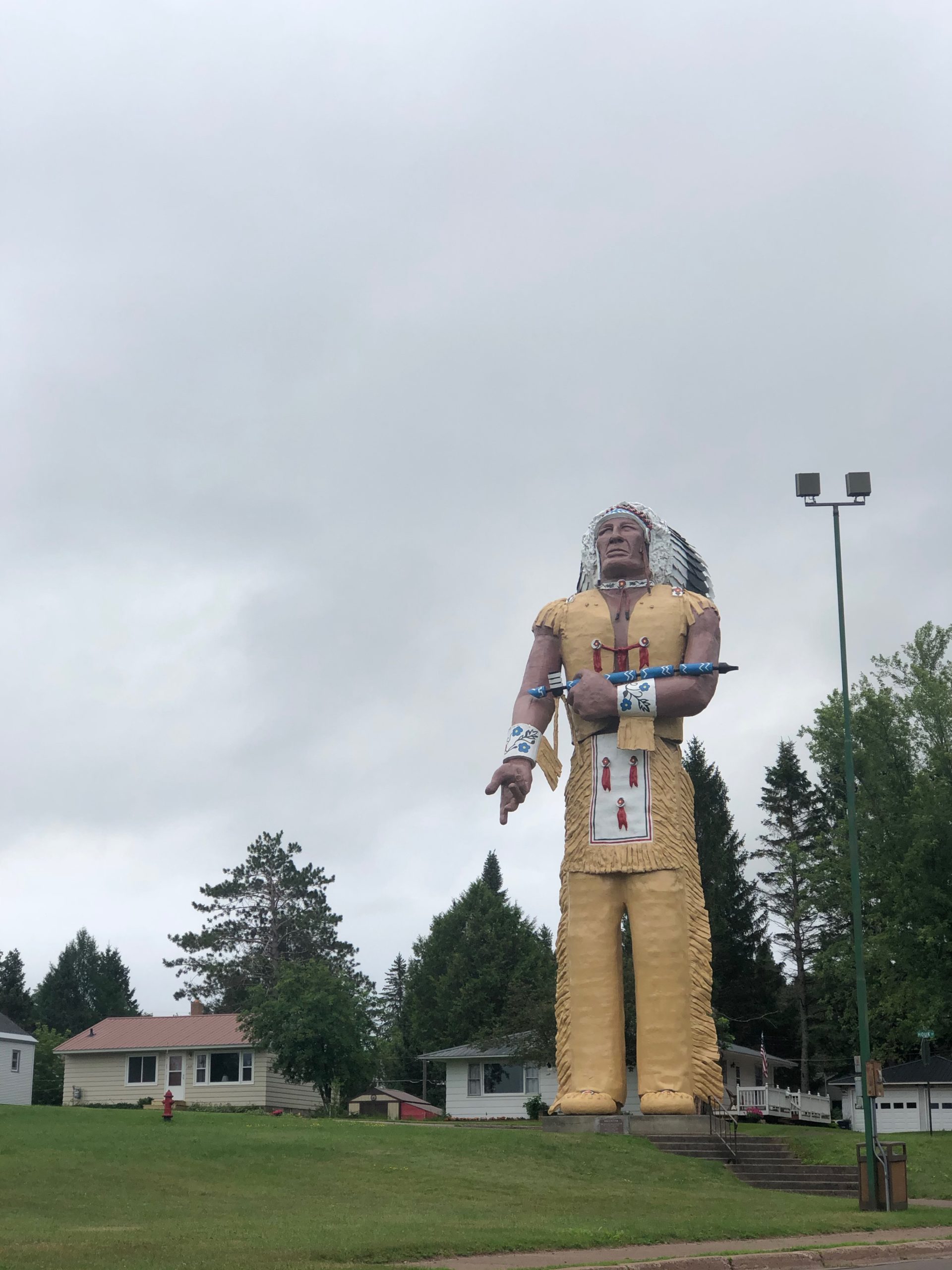 Worlds Largest Indian Ironwood MI