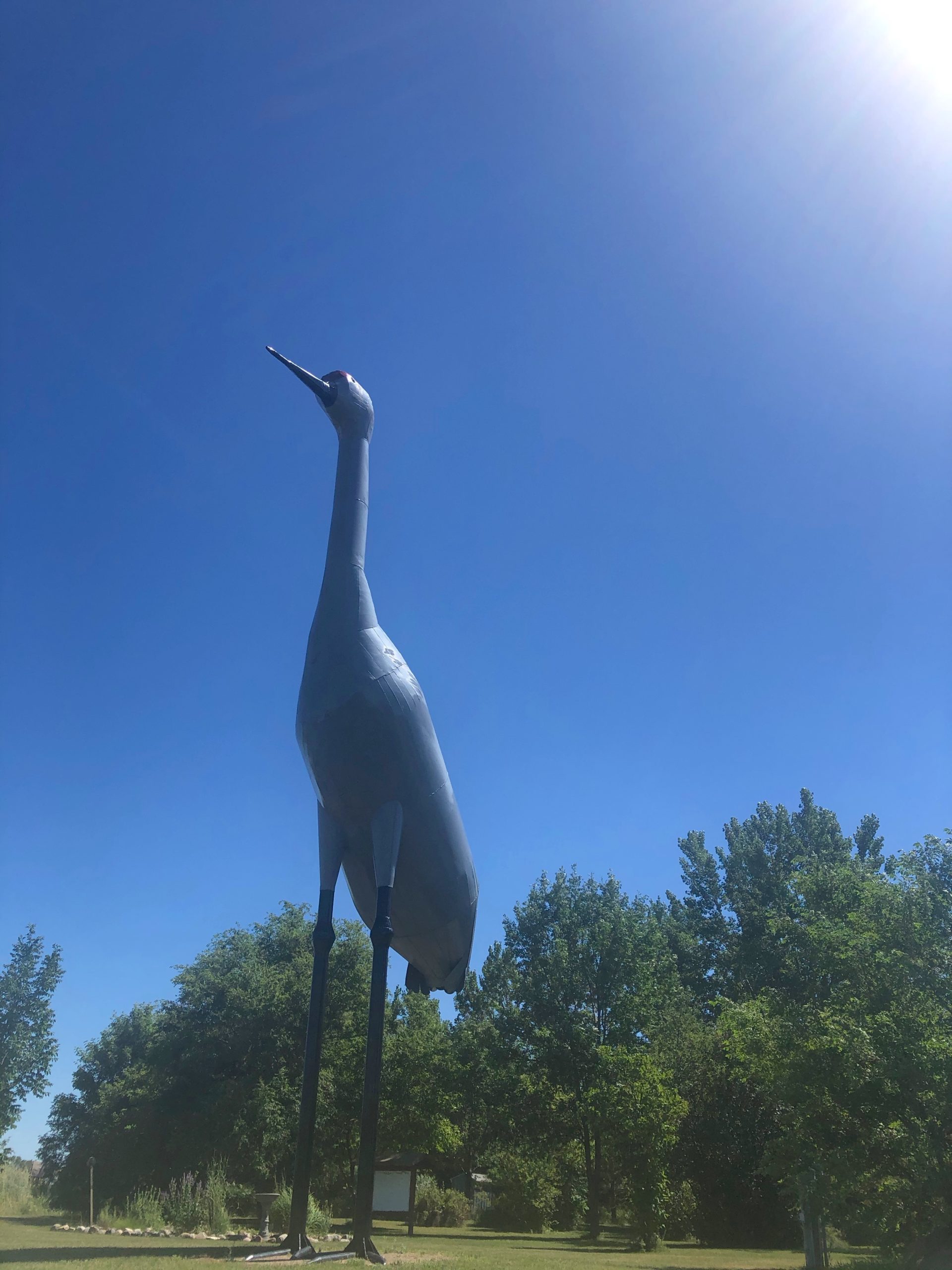 Worlds Largest Sandhill Crane Steele ND