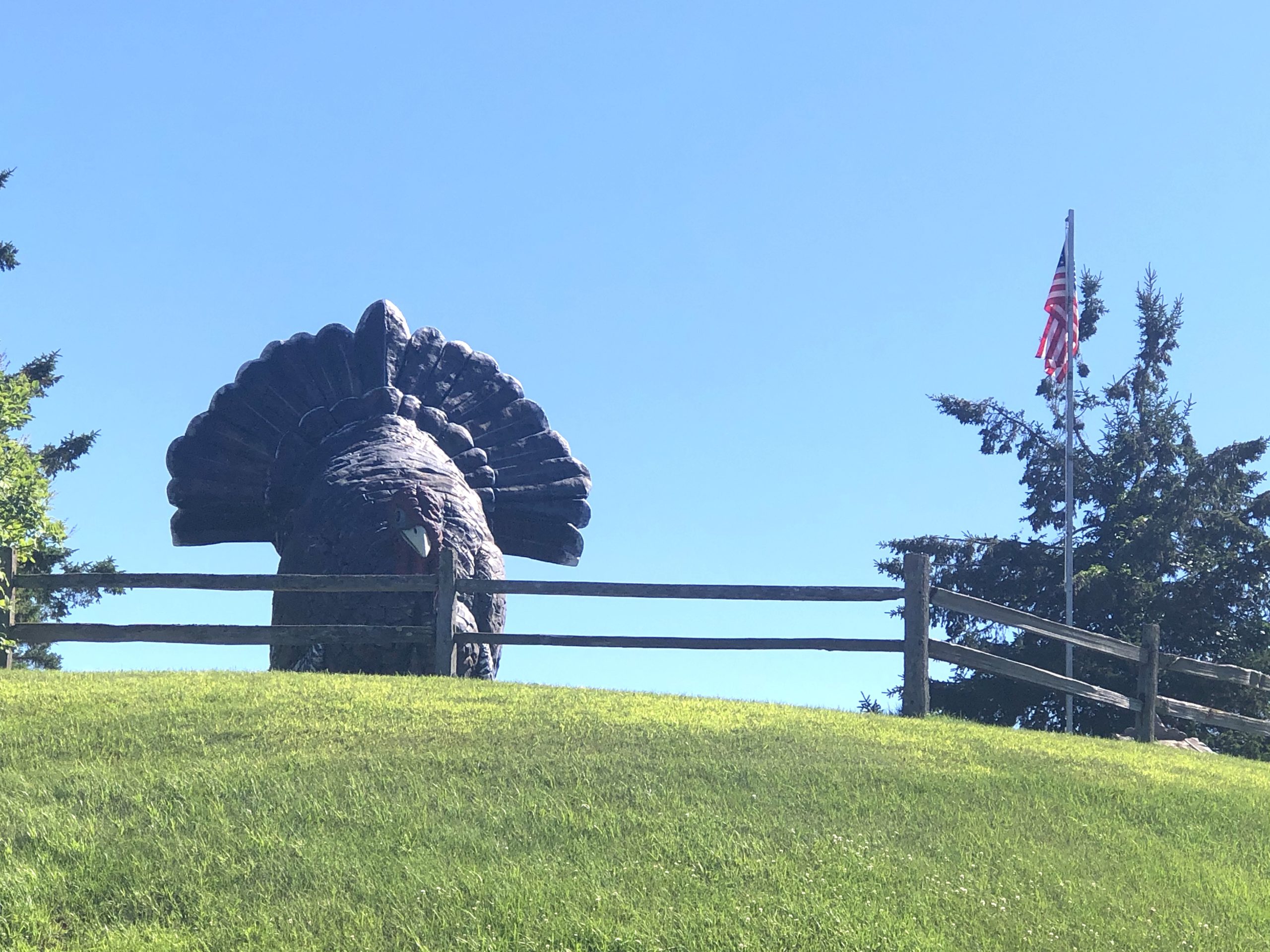 Worlds Largest Turkey Frazee MN