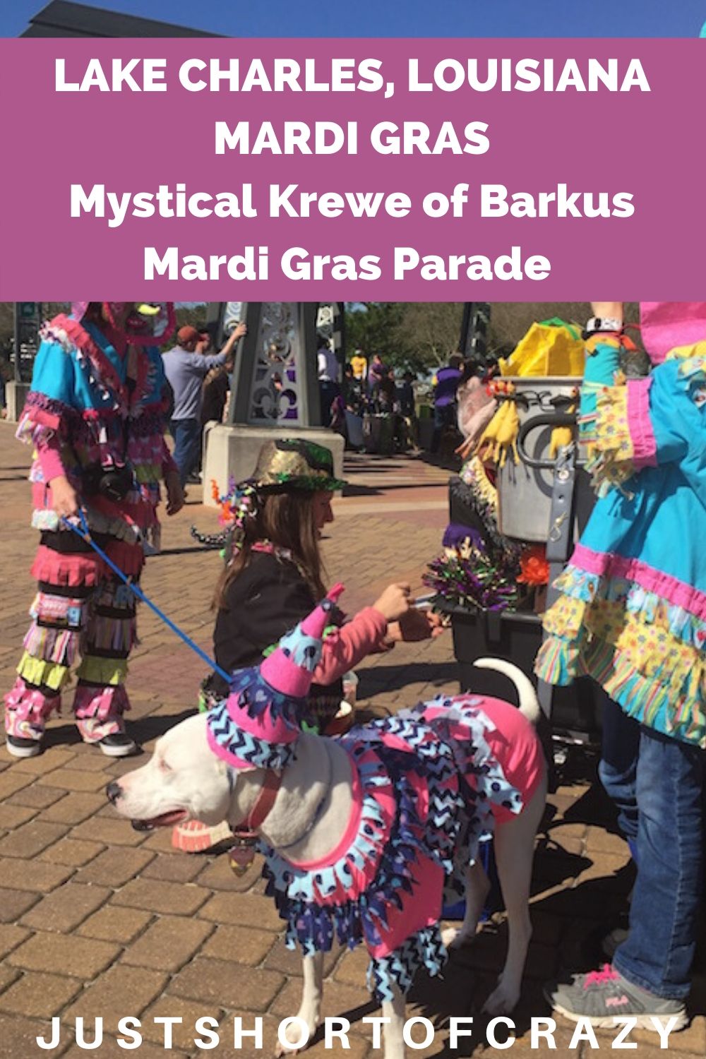 Mystical Krewe of Barkus Mardi Gras Parade