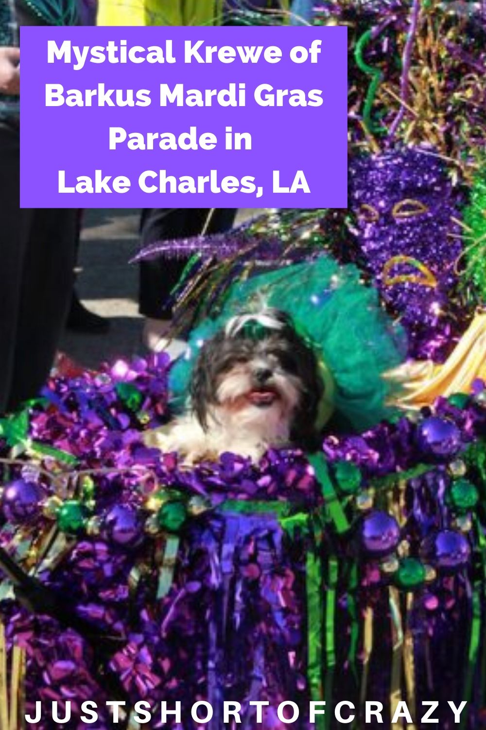 Mystical Krewe of Barkus Mardi Gras Parade