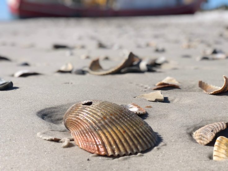 beaches port st joe