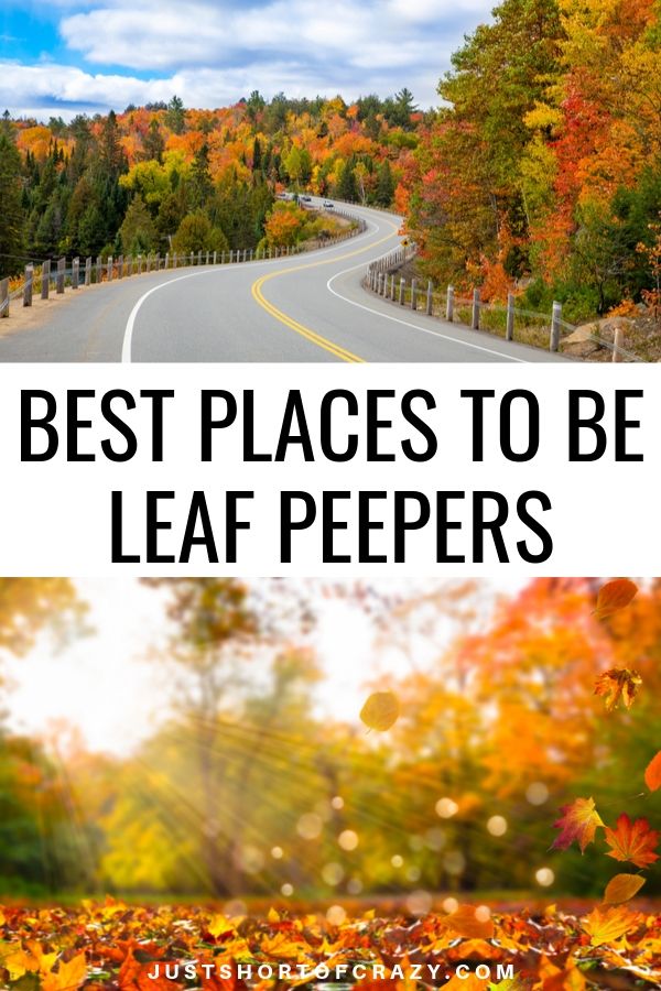 best places to be leaf peepers
